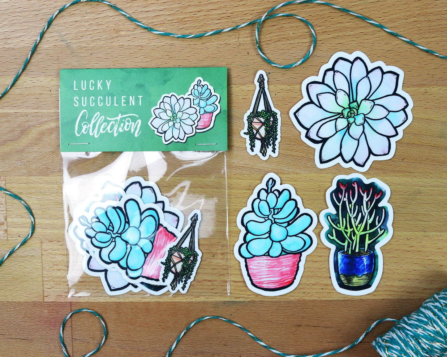 Vinyl Succulent Stickers | Die-Cut Cactus Stickers | Watercolor Plant Stickers | Laptop Stickers |