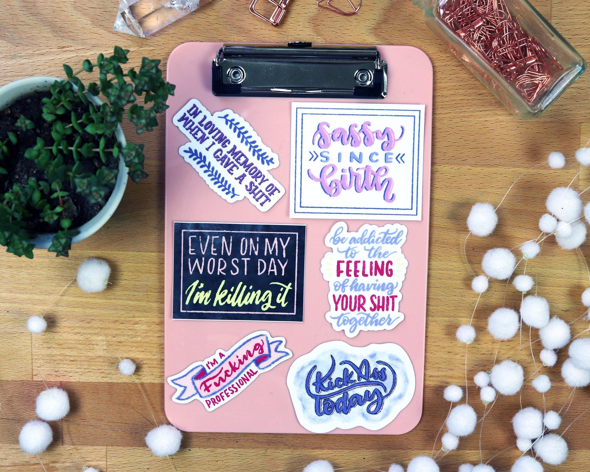 Die-Cut Sassy Quote Planner Stickers | Vinyl Sassy-Ass Stickers Collection | Sarcastic Quote Stickers | Snarky Stickers