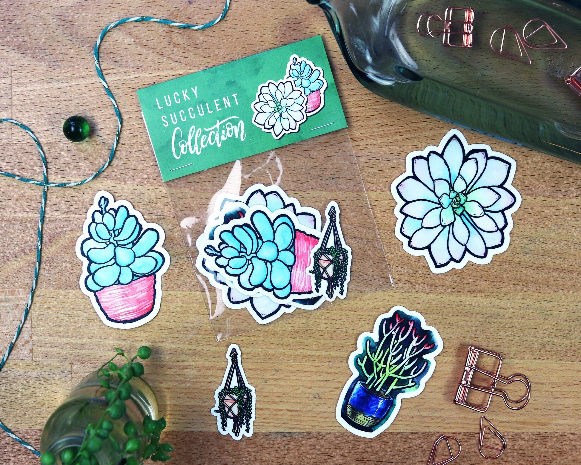 Vinyl Succulent Stickers | Die-Cut Cactus Stickers | Watercolor Plant Stickers | Laptop Stickers |
